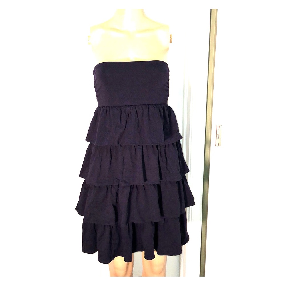 J.Crew factory blue dress. NWT. S